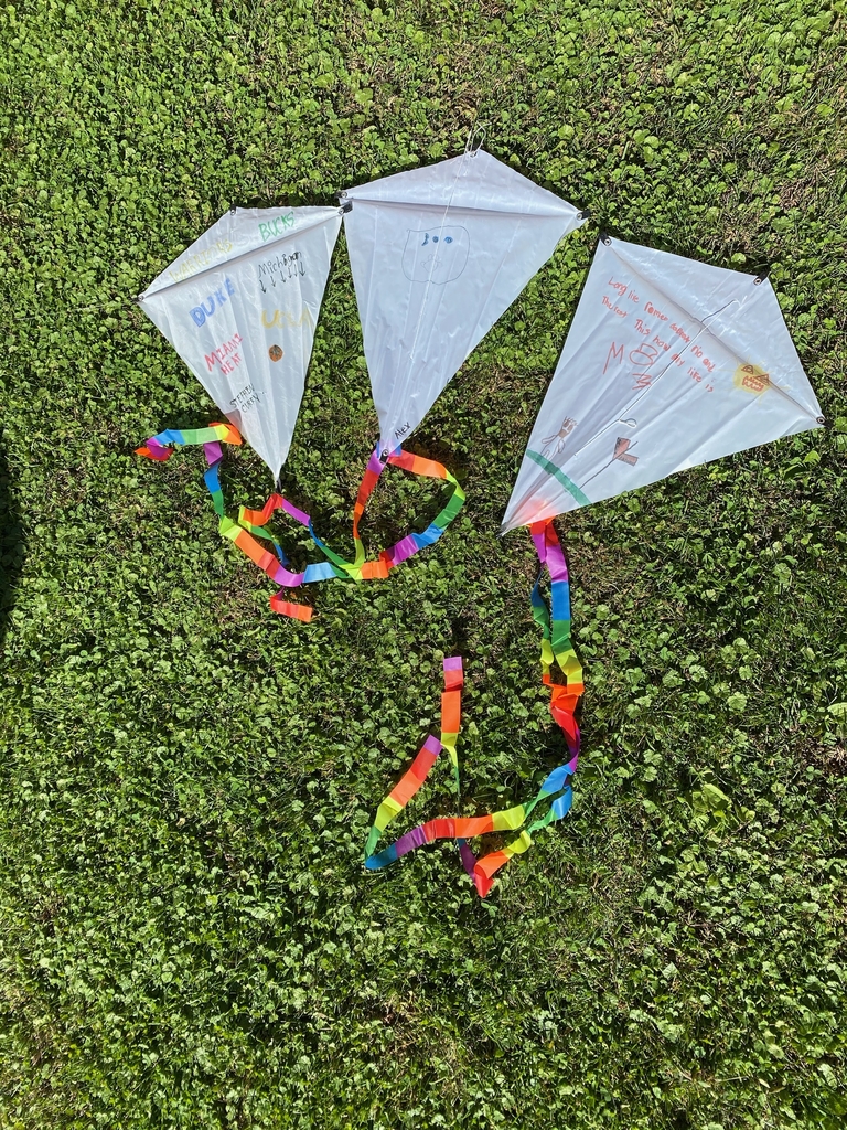 Image of kites 