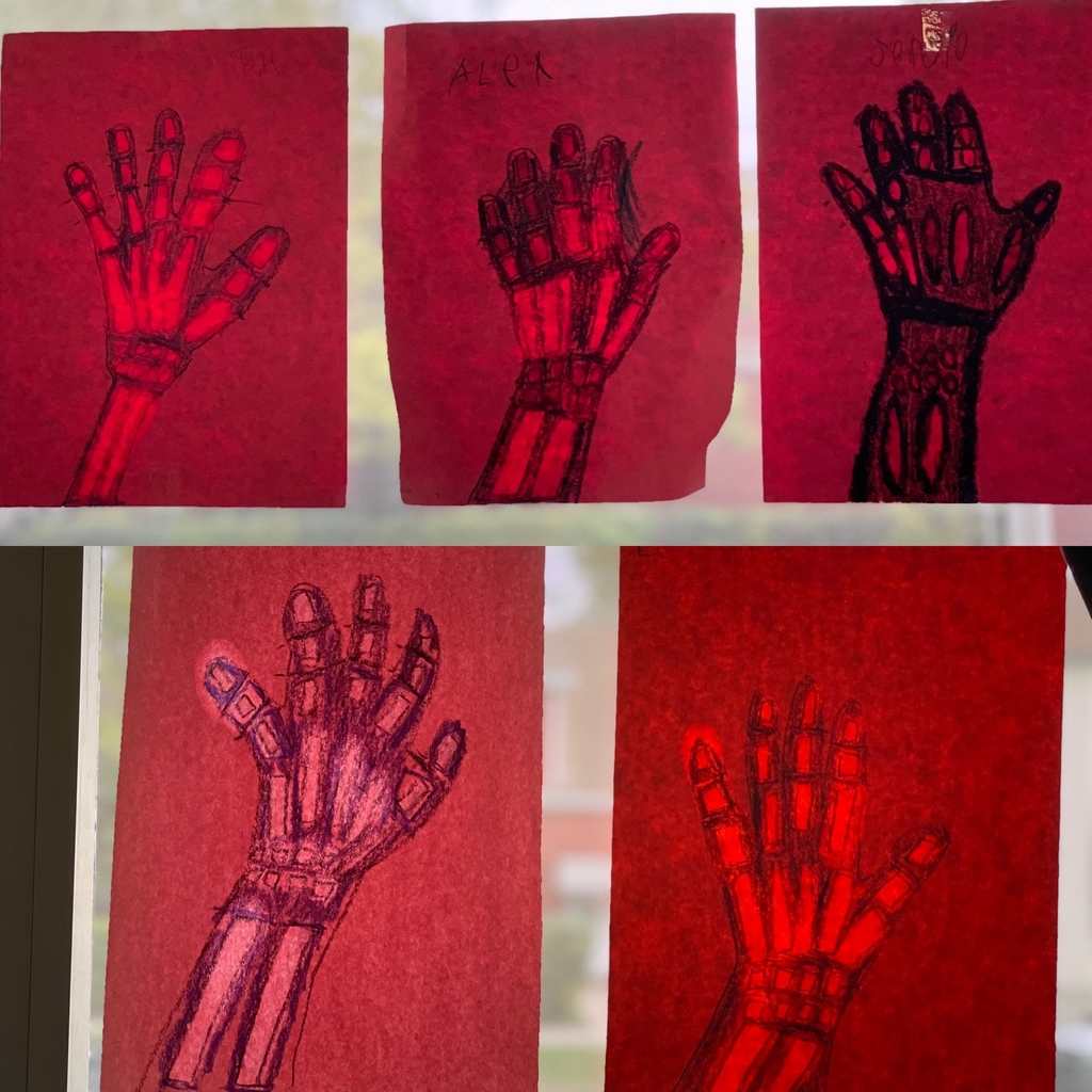 Image of skeleton hand tracing 