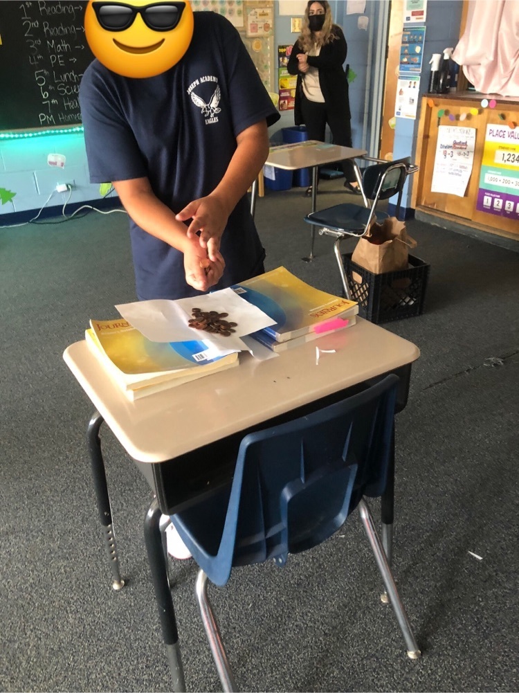 Students were building bridges and then testing their strength with pennies.