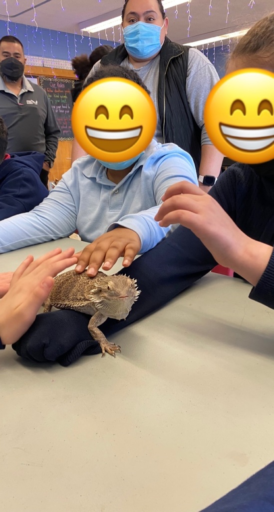 106 had a surprise visitor today! We were able to learn and hang with Ms. Mostek’s pet bearded dragon, Popcorn!